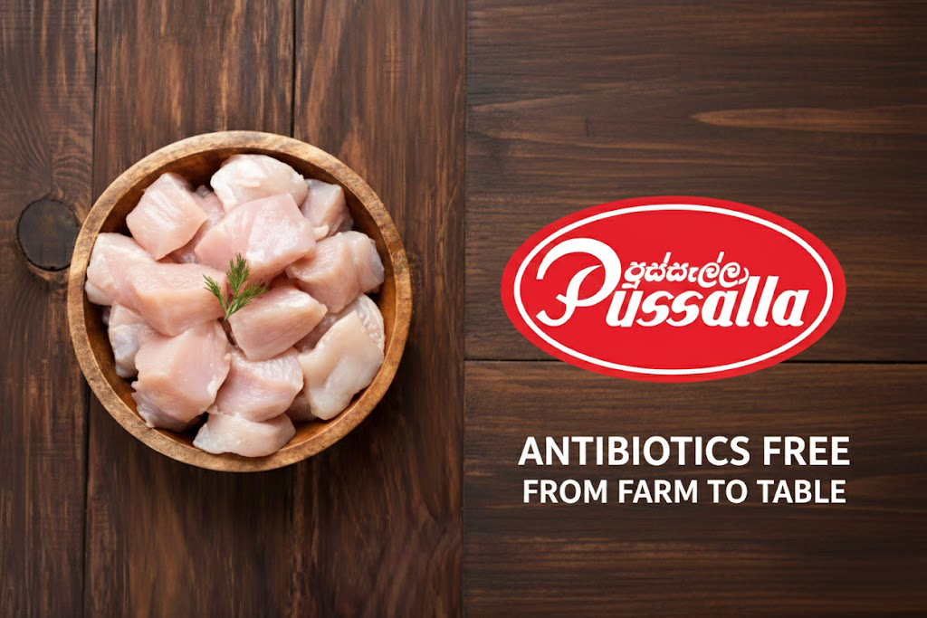 Antibiotic Free Chicken in Sri Lanka: How Pussalla’s 100% Own Sourcing Model Sets the Highest Food Safety Standard